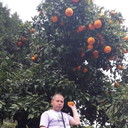 ���������� ������, ���� ������� �������, 46 ���, ������������ ��� ������