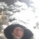 ���������� �����������, ���� ������� ����, 33 ����, ������������ 