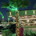  -,   , 45 ,   ,   , c 