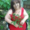  ,   , 56 ,   ,   , c 