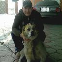 ���������� ������, ���� ������� Timyr, 40 ���, ������������ ��� ����� � ���������, c�������� ���������