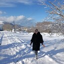 ���������� �����������, ���� ������� ������, 46 ���, ������������ ��� c�������� ���������