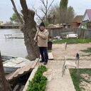 ���������� �����������, ���� ������� ��������, 69 ���, ������������ 