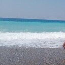 ���������� ������, ���� ������� ��������, 43 ����, ������������ ��� c�������� ���������