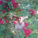 ���������� �������, ���� ������� �������, 28 ���, ������������ ��� ������, ����� � ���������, c�������� ���������