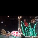 ���������� ������, ���� ������� �������, 46 ���, ������������ ��� c�������� ���������