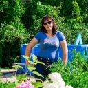 ���������� ����������, ���� ������� �������, 45 ���, ������������ ��� c�������� ���������, ���������