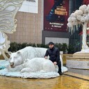 ���������� �������, ���� ������� �����, 35 ���, ������������ ��� ������, ����� � ���������