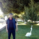 ���������� ������, ���� ������� ����, 46 ���, ������������ ��� ������, ����� � ���������, c�������� ���������