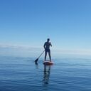 ���������� ����, ���� ������� ���, 35 ���, ������������ ��� ����� � ���������