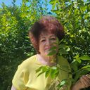 ���������� �������, ���� ������� �����, 75 ���, ������������ ��� c�������� ���������