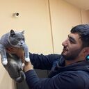 ���������� ����, ���� ������� Vusal, 28 ���, ������������ ��� ������, ����� � ���������