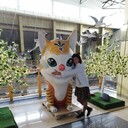  ,   , 44 ,     , c , 