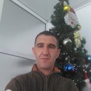  Alba Iulia,   Petrea, 41 ,   ,   , c 