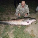 ���������� �������, ���� ������� Baha, 44 ����, ������������ ��� ����� � ���������, c�������� ���������