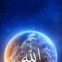 ���������� �����, ���� ������� Elmart, 43 ����, ������������ ��� c�������� ���������