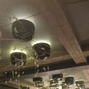 ���������� �����-���������, ���� ������� ����, 47 ���, ������������ ��� ������, ����� � ���������