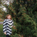 ���������� ������, ���� ������� �����, 49 ���, ������������ ��� c�������� ���������