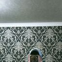 ���������� ������, ���� ������� Tim, 36 ���, ������������ ��� ������, ����� � ���������