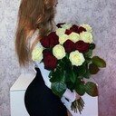 ���������� ������, ���� ������� ��������, 26 ���, ������������ ��� ������, ����� � ���������