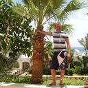 ���������� �����������, ���� ������� ������, 43 ����, ������������ ��� ����� � ���������, c�������� ���������