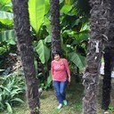  ,   , 62 ,   ,   , c 