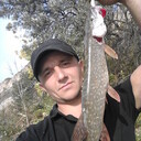 ���������� �������������, ���� ������� ������, 40 ���, ������������ ��� ������, ����� � ���������