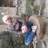  ,   , 29 ,   