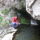 ���������� ������, ���� ������� PRINCE, 34 ����, ������������ ��� ����� � ���������, c�������� ���������