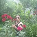 ���������� �������, ���� ������� ���������, 43 ����, ������������ ��� ������, ����� � ���������, c�������� ���������