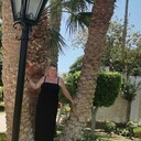 ���������� �����, ���� ������� �����, 35 ���, ������������ ��� ������, ����� � ���������, c�������� ���������, ���������