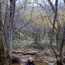 ���������� �����������, ���� ������� �������, 35 ���, ������������ ��� ������, ����� � ���������