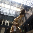 ���������� ������, ���� ������� �����, 42 ����, ������������ ��� ������, ����� � ���������, c�������� ���������