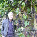 ���������� ���������, ���� ������� ������, 88 ���, ������������ ��� ����� � ���������, c�������� ���������