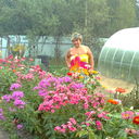 ���������� ������, ���� ������� Nata3773, 56 ���, ������������ ��� ������, ����� � ���������, c�������� ���������