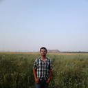 ���������� ������, ���� ������� ������, 33 ����, ������������ ��� ������, ����� � ���������, c�������� ���������, ���������