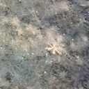 ���������� �����, ���� ������� ���, 37 ���, ������������ ��� ������, ����� � ���������