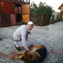 ���������� �����������, ���� ������� ��������, 42 ����, ������������ ��� ������, ����� � ���������