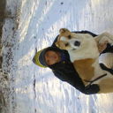 ���������� ��������, ���� ������� �������, 37 ���, ������������ ��� ������, ����� � ���������, c�������� ���������