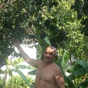  ,   , 65 ,  