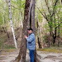  ,   , 53 ,   ,   