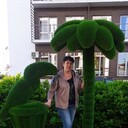 ���������� ���������, ���� ������� ���������, 41 ���, ������������ ��� ����� � ���������, c�������� ���������