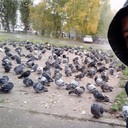  ,   Ixtiyor, 38 ,     , c 