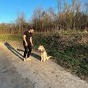 ���������� ������, ���� ������� ����, 36 ���, ������������ ��� ������, ����� � ���������