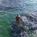 ,   Vadim, 28 ,   ,   , c 