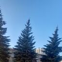 ���������� ������, ���� ������� ������, 49 ���, ������������ ��� ������, ����� � ���������