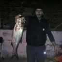  ,   Seymur, 45 ,   ,   , c 