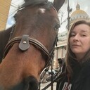  -,   , 33 ,  