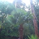 ���������� �����������, ���� ������� ������, 37 ���, ������������ 