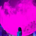 ���������� �����, ���� ������� ���, 41 ���, ������������ ��� ����� � ���������, c�������� ���������